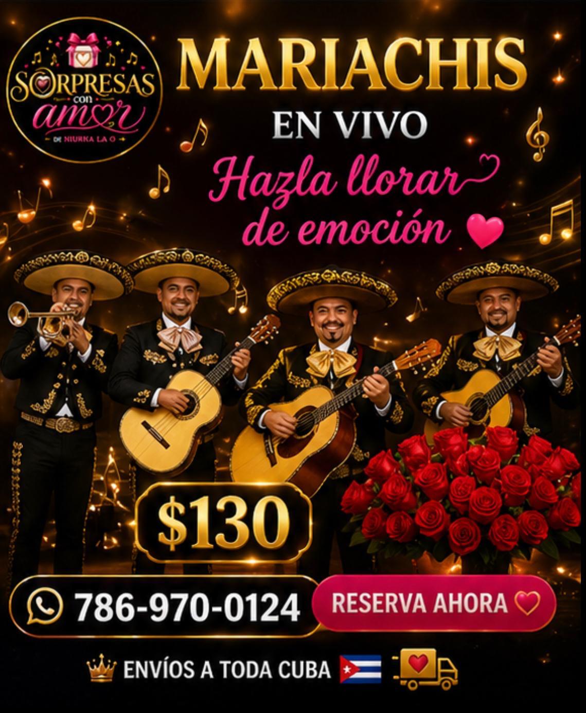 Mariachis en Vivo - $130
